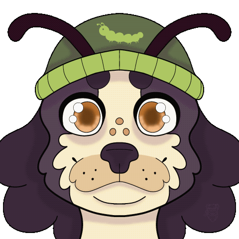 Untitled Silly close up of an orange striped cat with big blue eyes