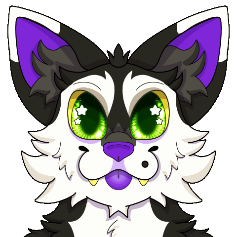 Untitled Silly close up of an orange striped cat with big blue eyes